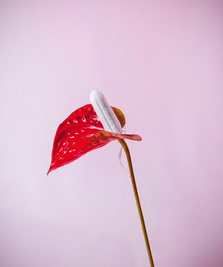 ¿Cómo afectan los Productos Menstruales al Medio Ambiente?
